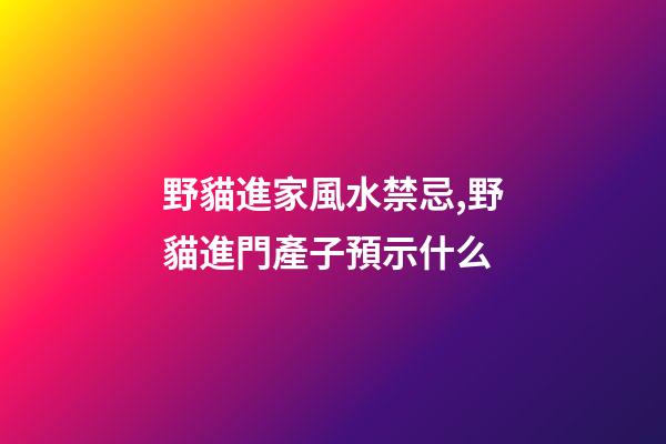 野貓進家風水禁忌,野貓進門產子預示什么