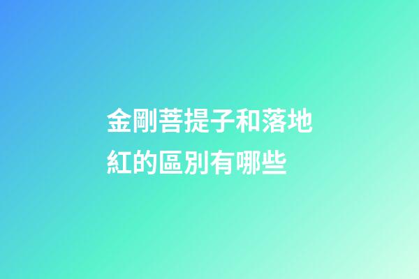 金剛菩提子和落地紅的區別有哪些