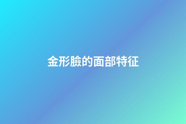 金形臉的面部特征