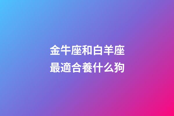 金牛座和白羊座最適合養什么狗-第1張-星座運勢-玄機派