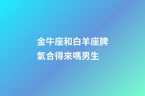 金牛座和白羊座脾氣合得來嗎男生-第1張-星座運勢-玄機派