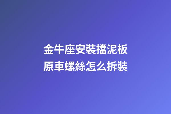 金牛座安裝擋泥板原車螺絲怎么拆裝