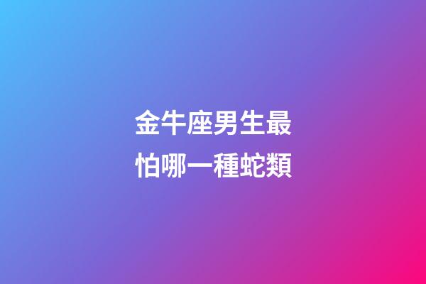 金牛座男生最怕哪一種蛇類-第1張-星座運勢-玄機派