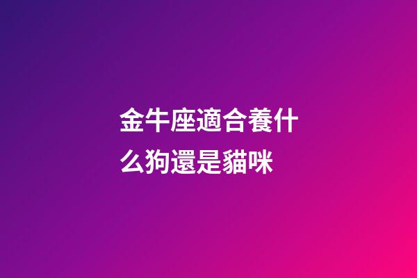 金牛座適合養什么狗還是貓咪-第1張-星座運勢-玄機派
