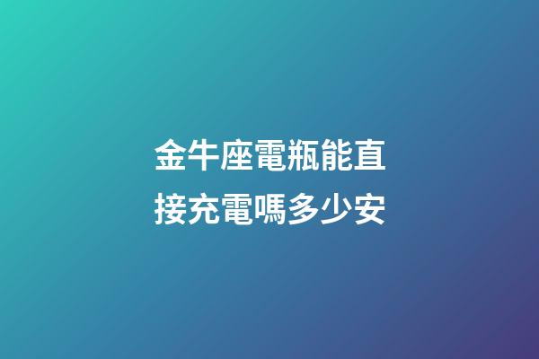 金牛座電瓶能直接充電嗎多少安
