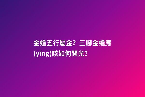 金蟾五行屬金？三腳金蟾應(yīng)該如何開光？
