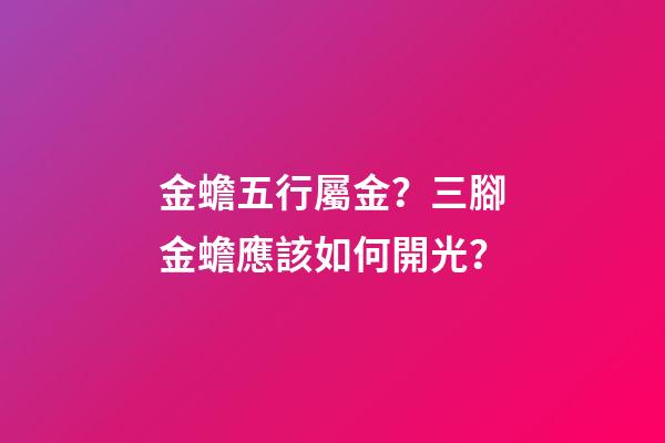 金蟾五行屬金？三腳金蟾應該如何開光？
