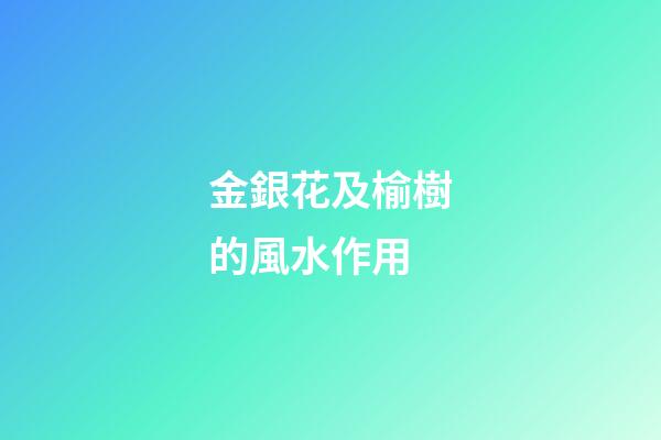 金銀花及榆樹的風水作用