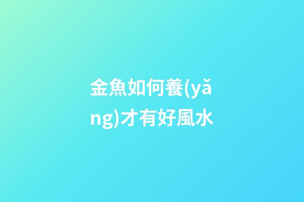 金魚如何養(yǎng)才有好風水