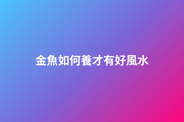金魚如何養才有好風水