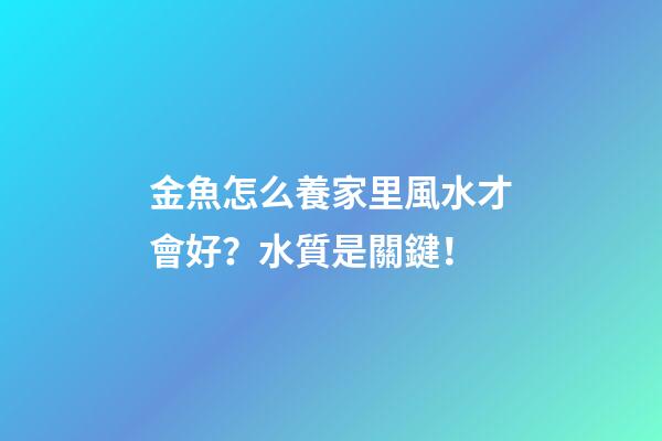 金魚怎么養家里風水才會好？水質是關鍵！