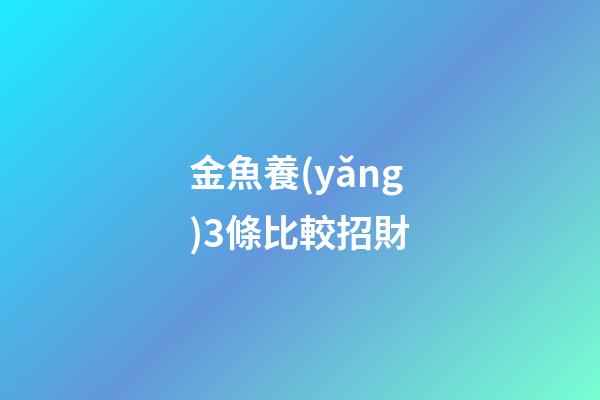 金魚養(yǎng)3條比較招財