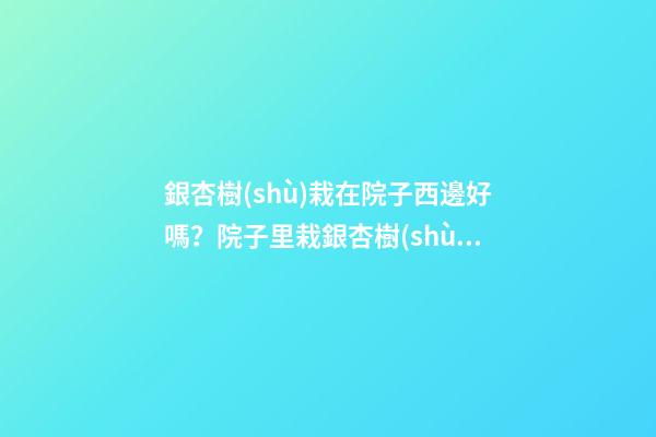 銀杏樹(shù)栽在院子西邊好嗎？院子里栽銀杏樹(shù)的風(fēng)水作用介紹