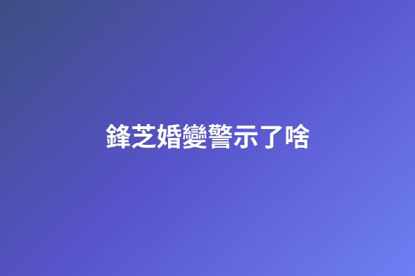 鋒芝婚變警示了啥