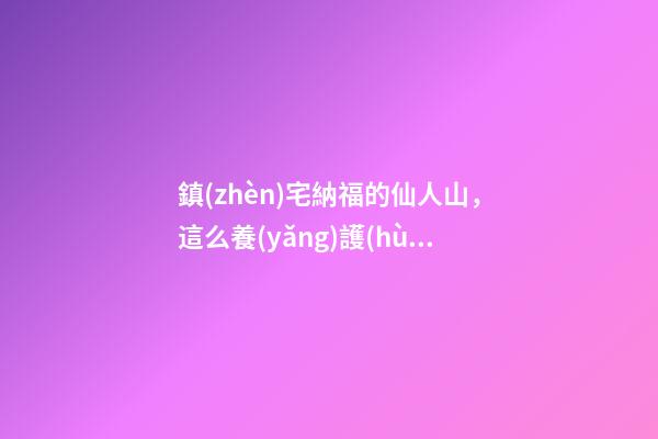 鎮(zhèn)宅納福的仙人山，這么養(yǎng)護(hù)，郁郁蔥蔥，真好看！