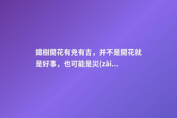 鐵樹開花有兇有吉，并不是開花就是好事，也可能是災(zāi)難來臨