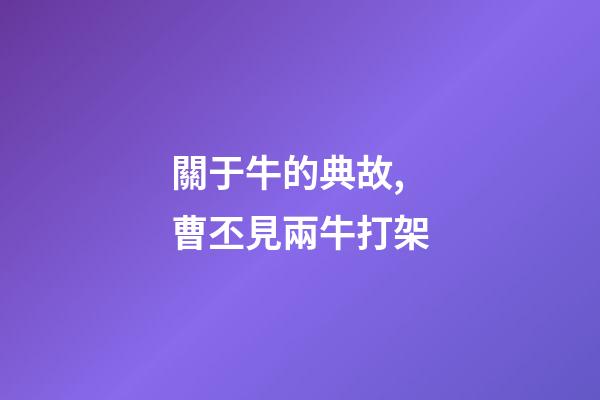 關于牛的典故,曹丕見兩牛打架-第1張-觀點-玄機派