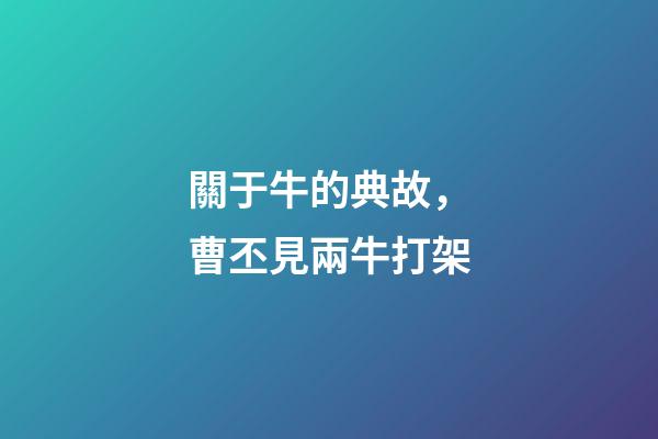 關于牛的典故，曹丕見兩牛打架-第1張-觀點-玄機派