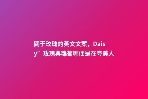 關于玫瑰的英文文案，Daisy”玫瑰與雛菊哪個是在夸美人-第1張-觀點-玄機派
