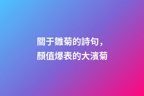 關于雛菊的詩句，顏值爆表的大濱菊-第1張-觀點-玄機派