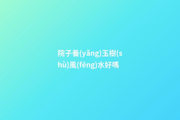 院子養(yǎng)玉樹(shù)風(fēng)水好嗎