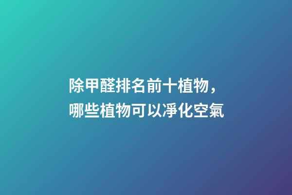 除甲醛排名前十植物，哪些植物可以凈化空氣