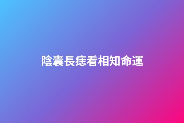 陰囊長痣看相知命運