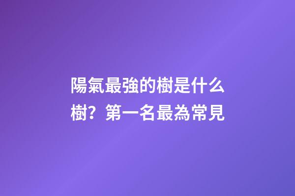 陽氣最強的樹是什么樹？第一名最為常見