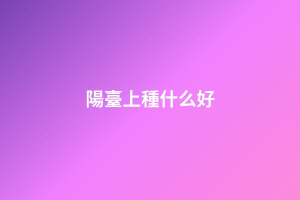 陽臺上種什么好