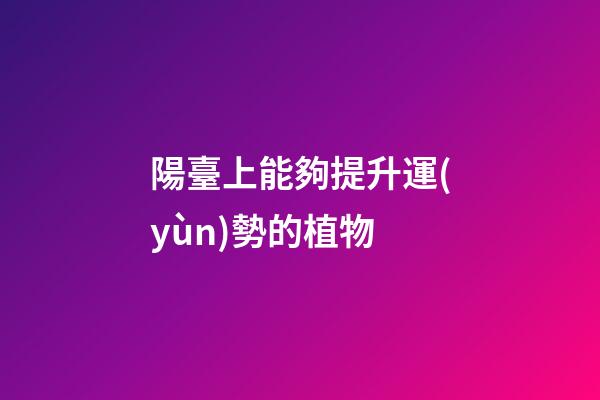 陽臺上能夠提升運(yùn)勢的植物
