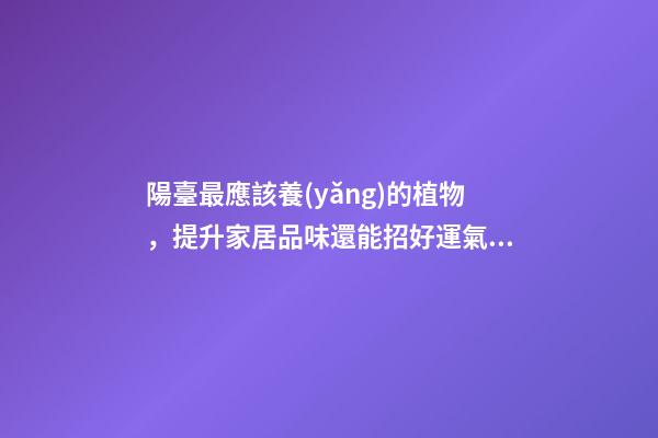 陽臺最應該養(yǎng)的植物，提升家居品味還能招好運氣、阻隔不良氣場