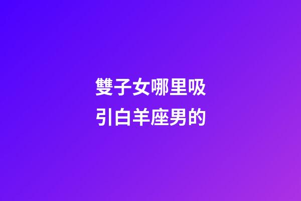雙子女哪里吸引白羊座男的