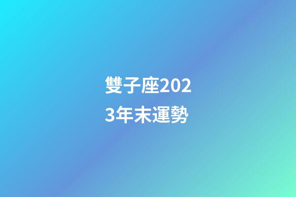 雙子座2023年末運勢-第1張-星座運勢-玄機派