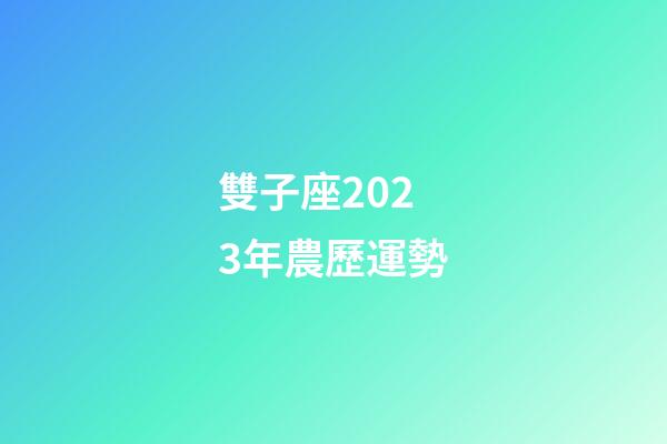 雙子座2023年農歷運勢-第1張-星座運勢-玄機派
