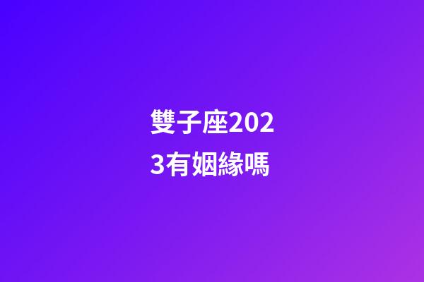 雙子座2023有姻緣嗎-第1張-星座運勢-玄機派