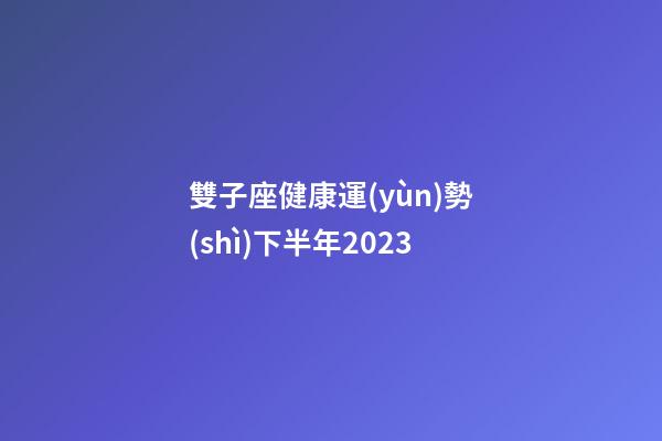 雙子座健康運(yùn)勢(shì)下半年2023-第1張-星座運(yùn)勢(shì)-玄機(jī)派