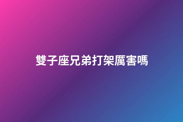 雙子座兄弟打架厲害嗎-第1張-星座運勢-玄機派