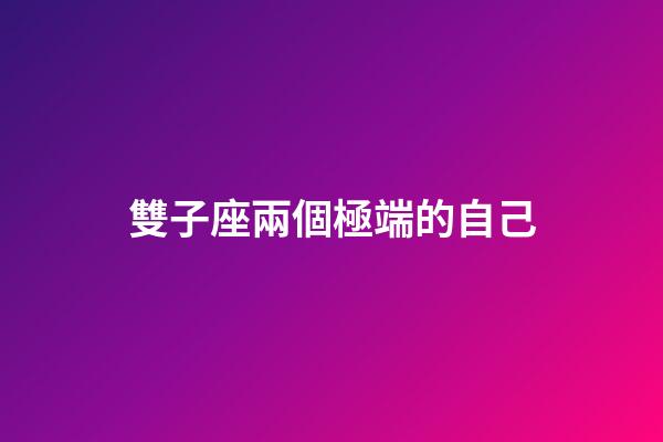 雙子座兩個極端的自己-第1張-星座運勢-玄機派