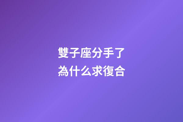 雙子座分手了為什么求復合-第1張-星座運勢-玄機派