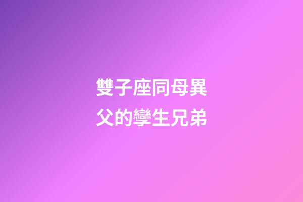 雙子座同母異父的孿生兄弟-第1張-星座運(yùn)勢-玄機(jī)派