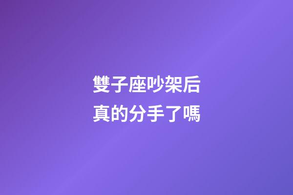 雙子座吵架后真的分手了嗎-第1張-星座運(yùn)勢(shì)-玄機(jī)派