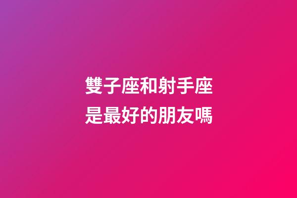雙子座和射手座是最好的朋友嗎-第1張-星座運勢-玄機派