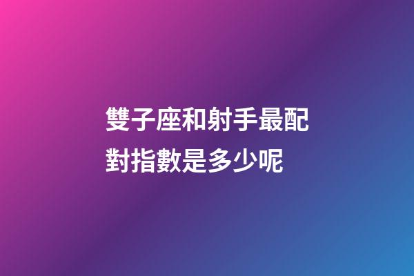 雙子座和射手最配對指數是多少呢-第1張-星座運勢-玄機派