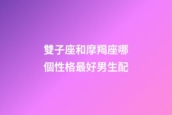 雙子座和摩羯座哪個性格最好男生配-第1張-星座運勢-玄機派