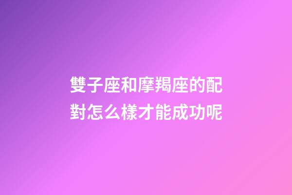 雙子座和摩羯座的配對怎么樣才能成功呢