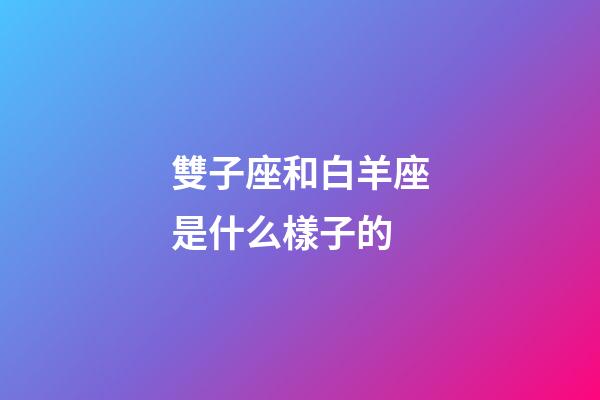 雙子座和白羊座是什么樣子的-第1張-星座運勢-玄機派