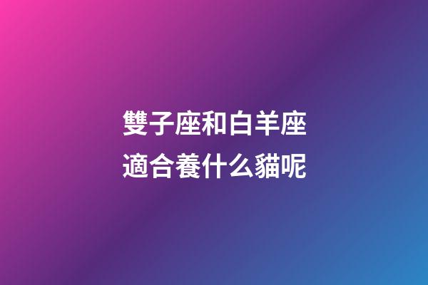 雙子座和白羊座適合養什么貓呢-第1張-星座運勢-玄機派