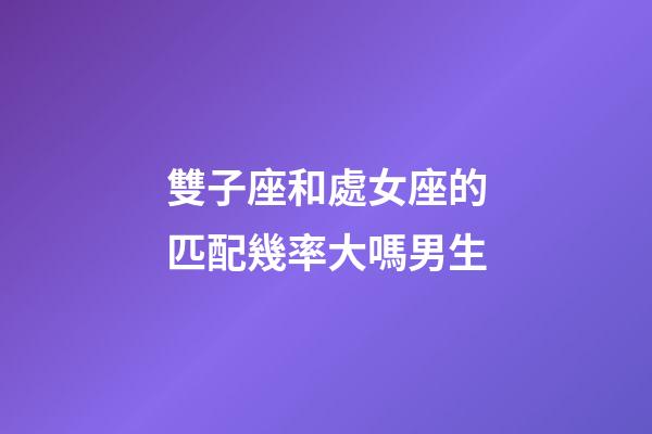 雙子座和處女座的匹配幾率大嗎男生-第1張-星座運勢-玄機派