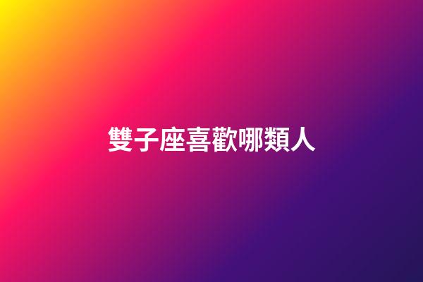 雙子座喜歡哪類人-第1張-星座運勢-玄機派
