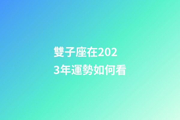 雙子座在2023年運勢如何看-第1張-星座運勢-玄機派